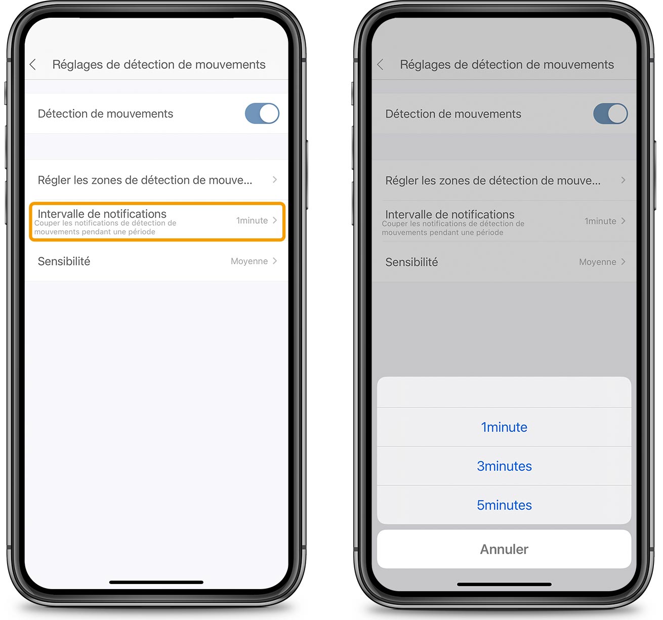 Intervalle de détection de mouvements dans l’appli PIXI