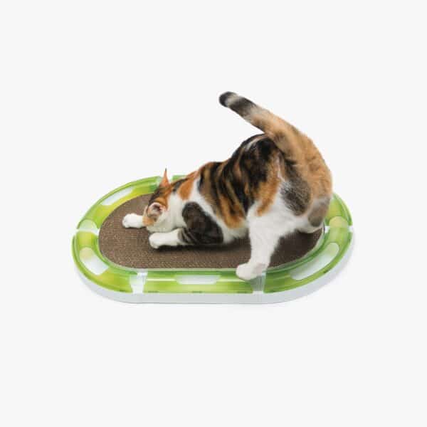 A calico cat stretching and scratching on a Catit oval-shaped cardboard scratcher with a green plastic track toy border