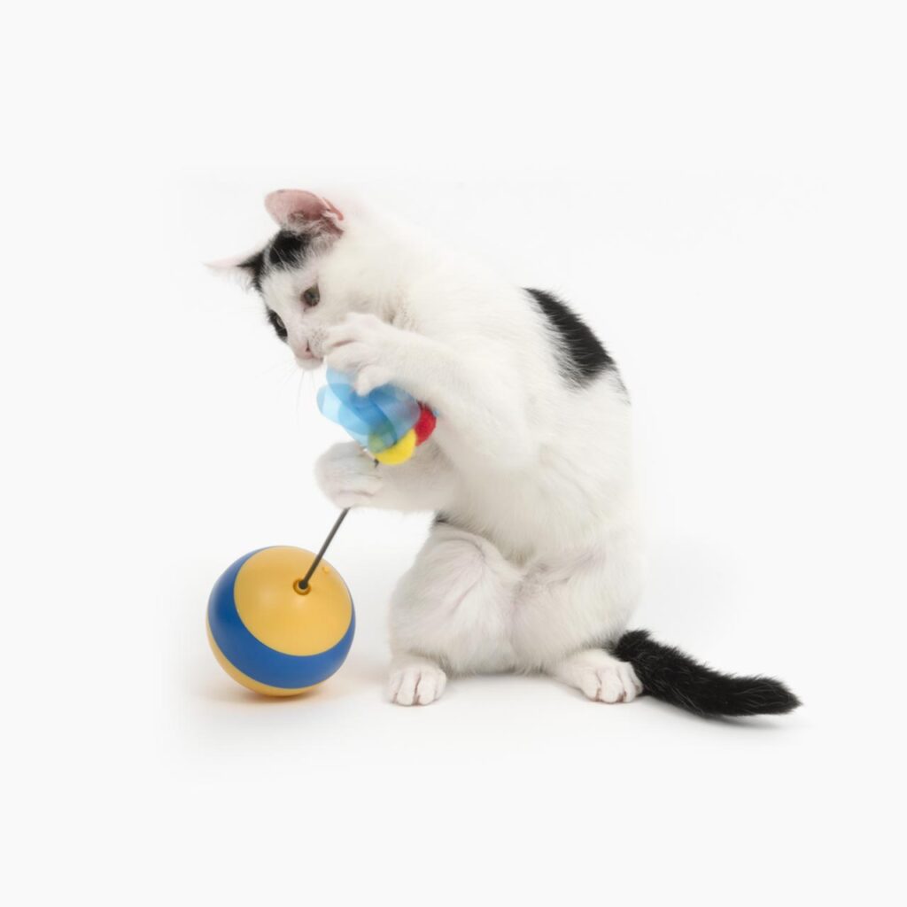 A black and white kitten playing with a Catit toy featuring a yellow and blue ball and a spinning bee attachment