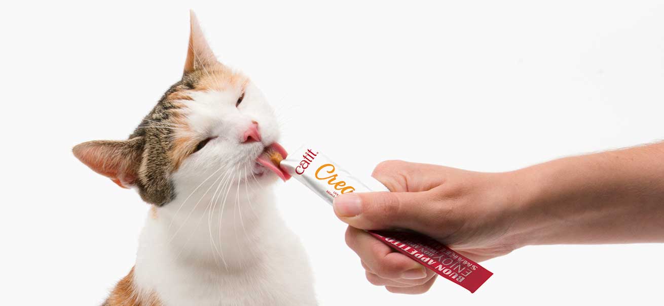 Catit Creamy