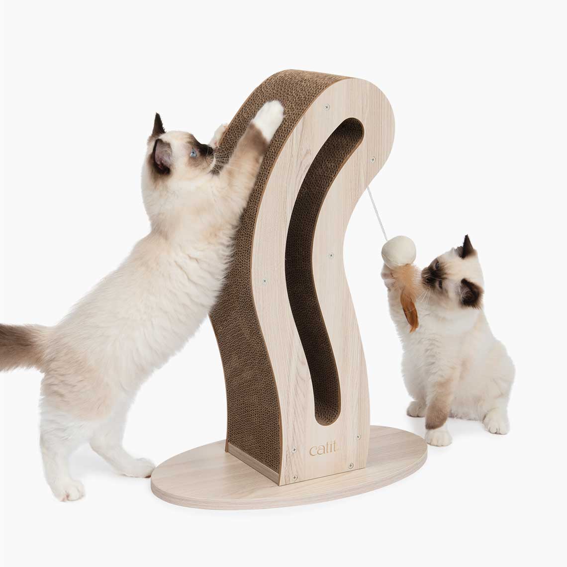 2 kittens spelen met de PIXI Scratcher in de vorm van een kattenstaart