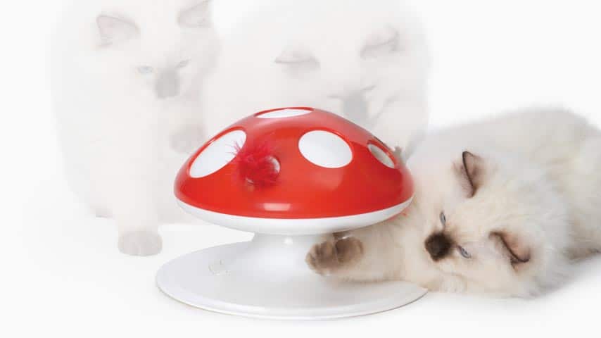 Jouet emballant avec plume offrant aux chats un jeu interactif sur 360° pour s’amuser et chasser