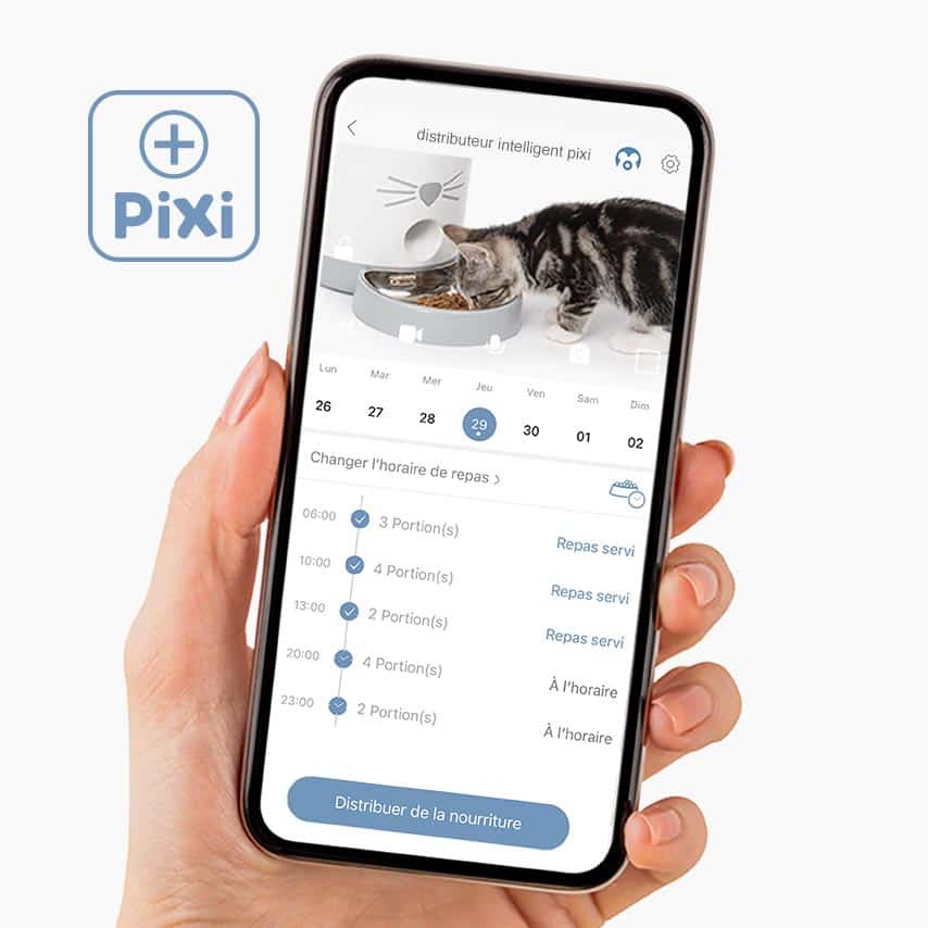 Connectez-vous à vos appareils intelligents Catit PIXI
