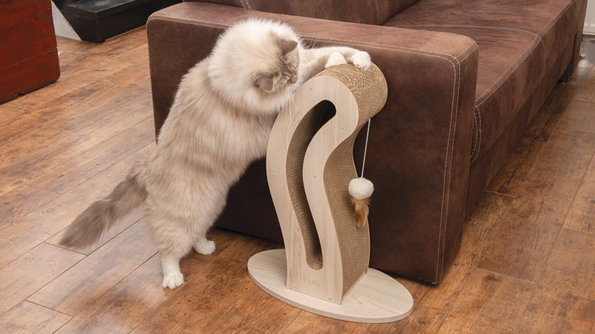 Kat die aan de PIXI Scratcher in de vorm van een kattenstaart krabt