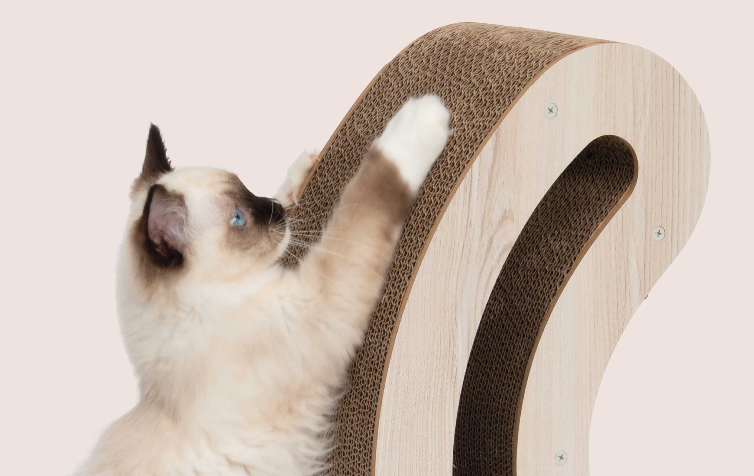 Eine Katze kratzt an der PIXI Kratzskulptur – katzenschwanzförmig