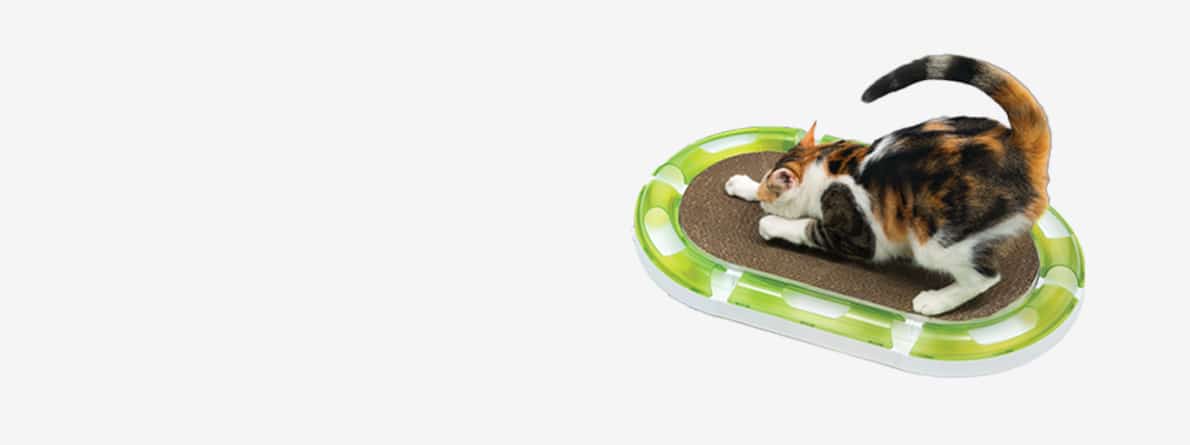 Calico cat scratching on a Catit oval-shaped scratcher toy with a green track and ball
