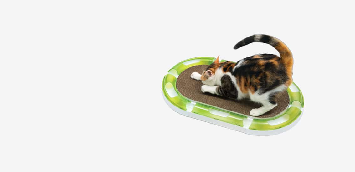 Calico cat playing on a Catit oval scratcher toy with a ball track around the perimeter