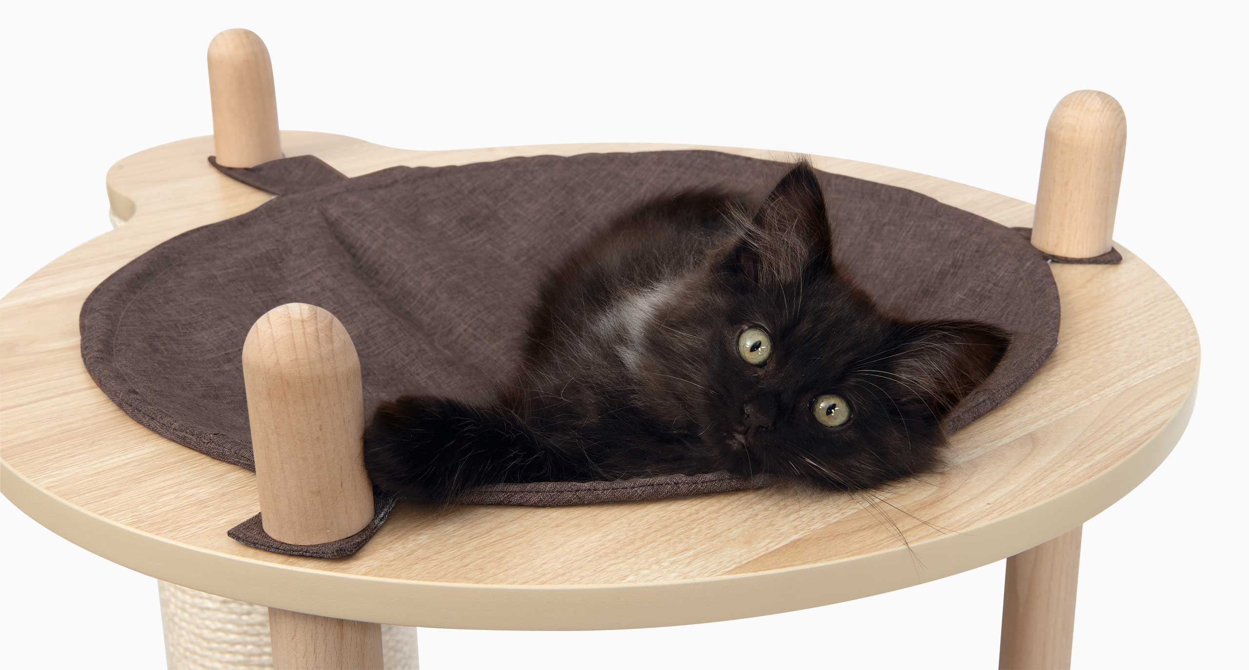 Gatito negro en la hamaca del Vesper Treehouse Catit