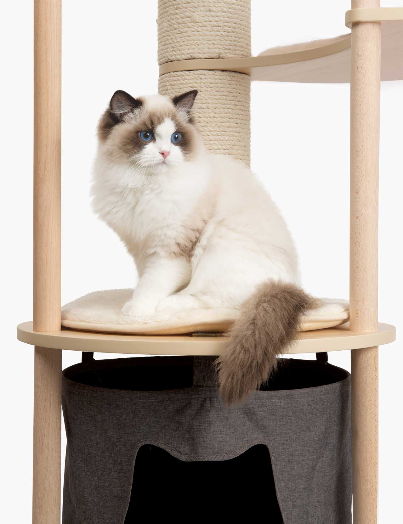 Gato sentado en el Vesper Treehouse Catit