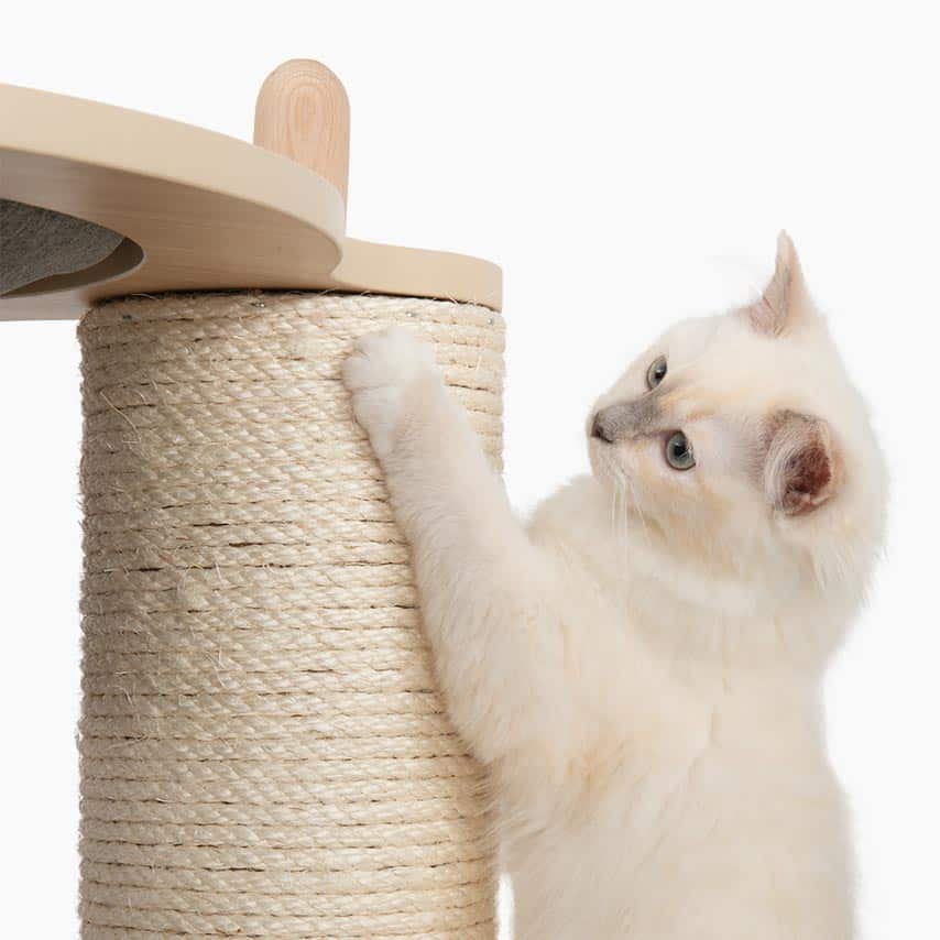 Extra-thick sisal scratching post