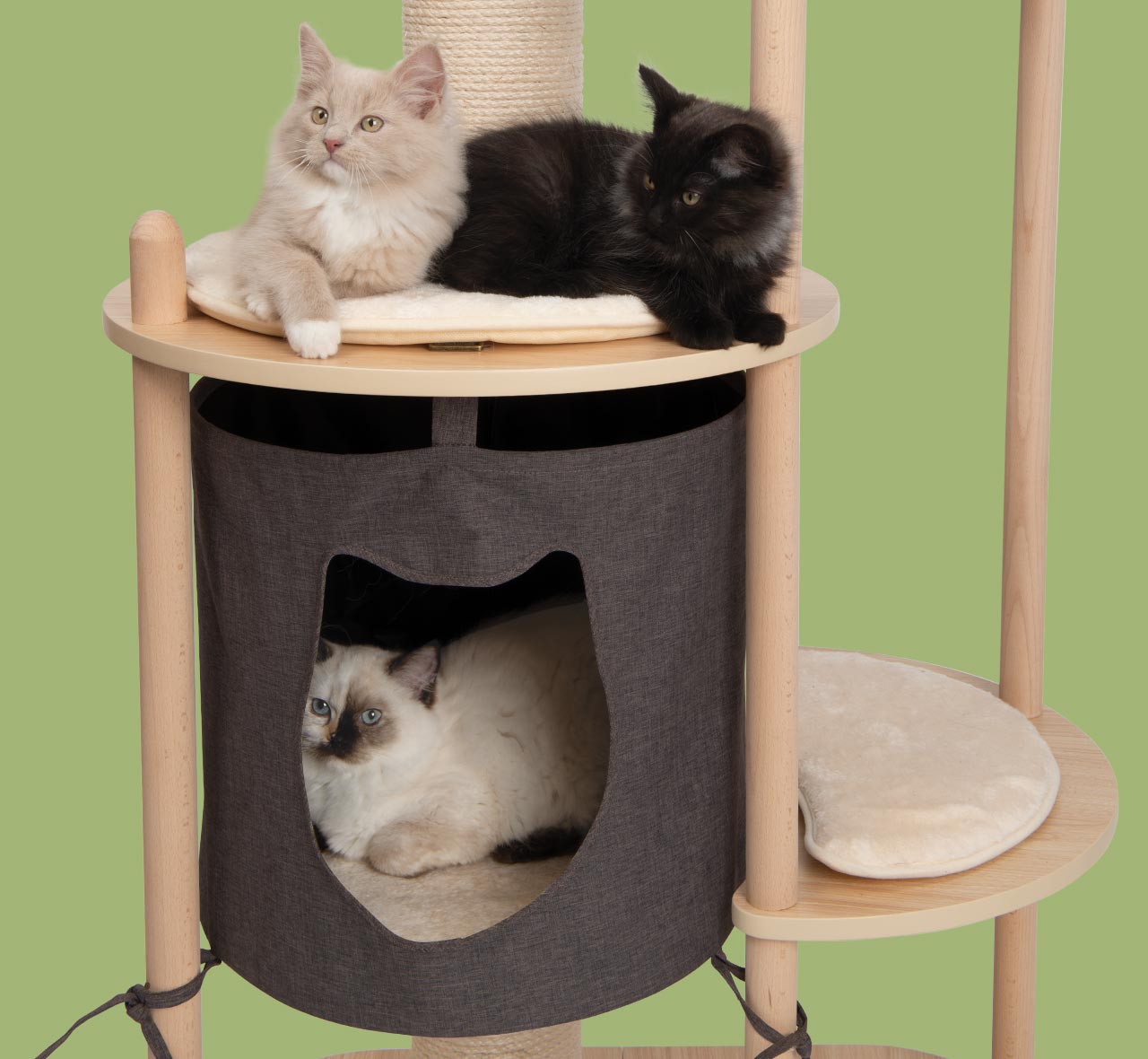 Kittens op the Catit Vesper Treehouse