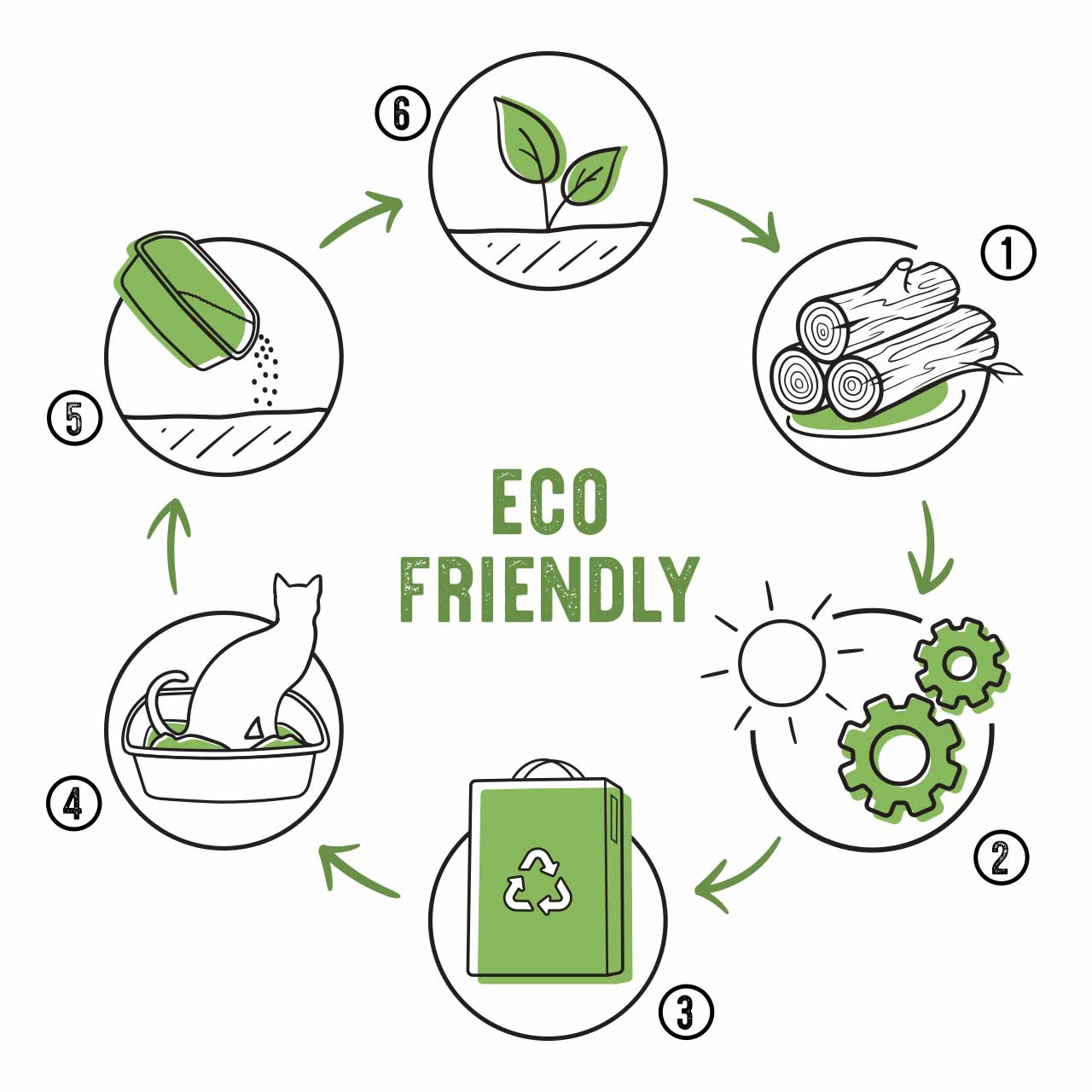 Eco Friendly life cycle