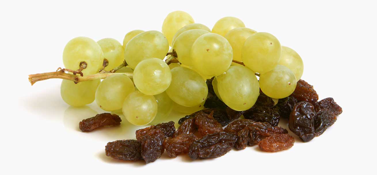Les raisins et raisins secs