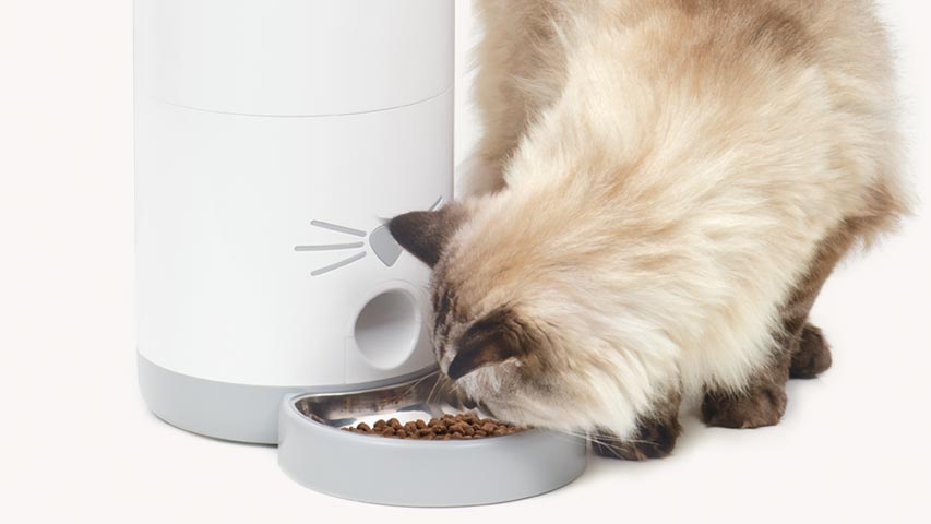 Il dispenser PIXI Smart servirà i pasti al tuo gatto come programmato