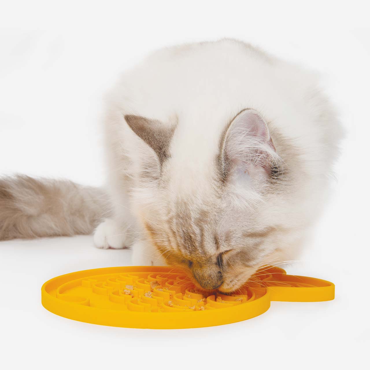 Gatto che lecca dal tappetino per l’alimentazione con Catit Creamy