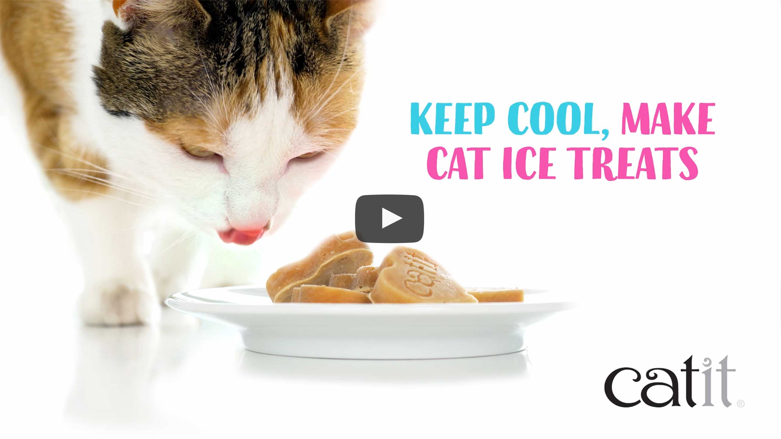 Maak overheerlijke, gezonde, en hydraterende ijspralines voor je kat met onze Catit Creamy Hartvormige Silicone Ijsvorm.