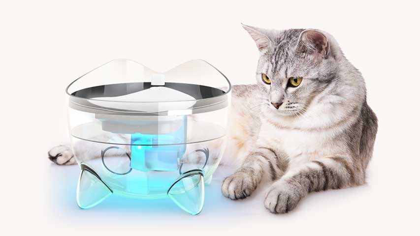 UV-C clarification naturally clarifies your cat's drinking water