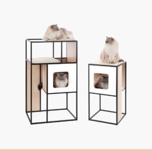 Two modern, black-framed cat towers with white cubbies and beige scratching surfaces, each occupied by a fluffy cat