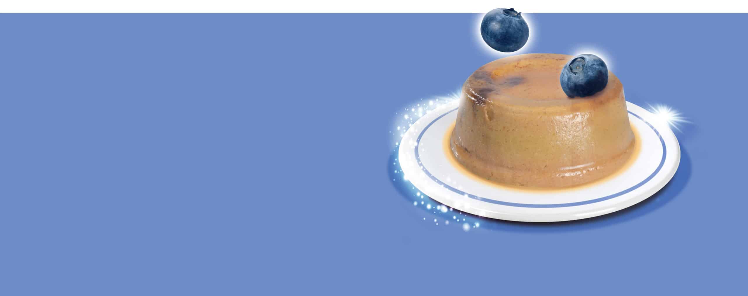 A serving of chicken and tuna mousse topped with blueberries on a small plate