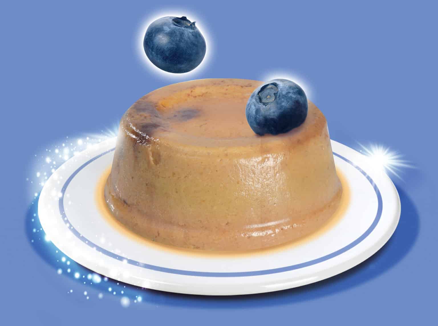 A serving of Catit Fruity Chicken and Tuna mousse topped with a blueberry on a white plate with a blue background