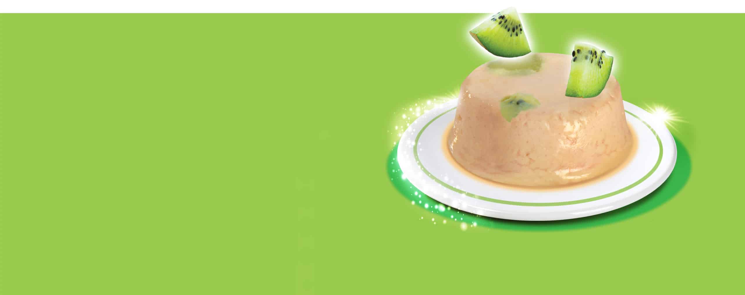 Catit chicken mousse with kiwi slices served on a small white plate