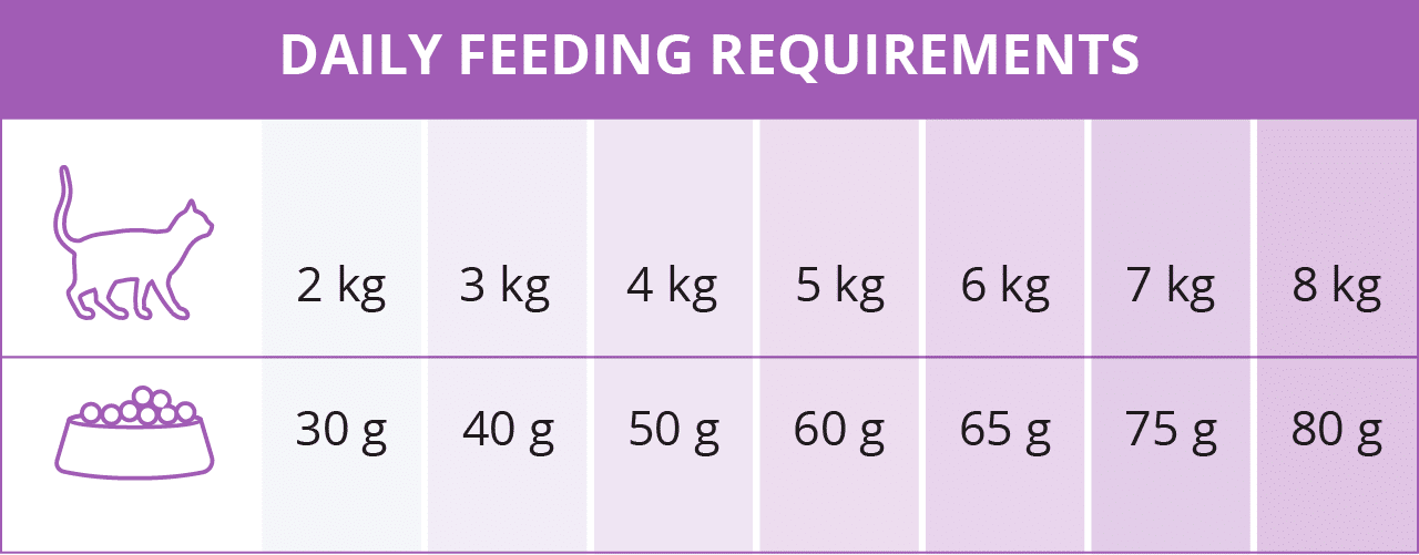Catit daily feeding guide chart showing recommended daily food amounts in grams based on cat weight from 2 kg to 8 kg