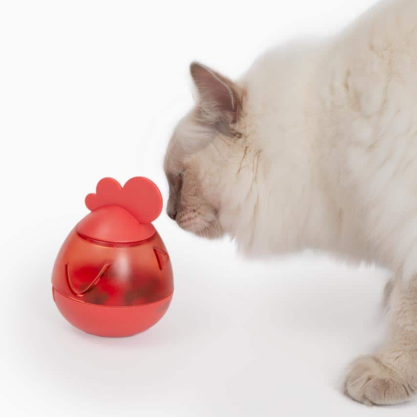 Kot wąchający dozownik smakołyków PIXI w kształcie koguta