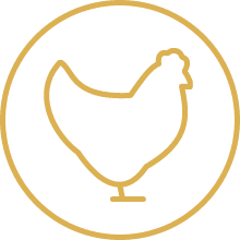 Gold outline icon of a chicken inside a circle