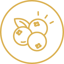 Gold line icon of three berries with a leaf inside a circle