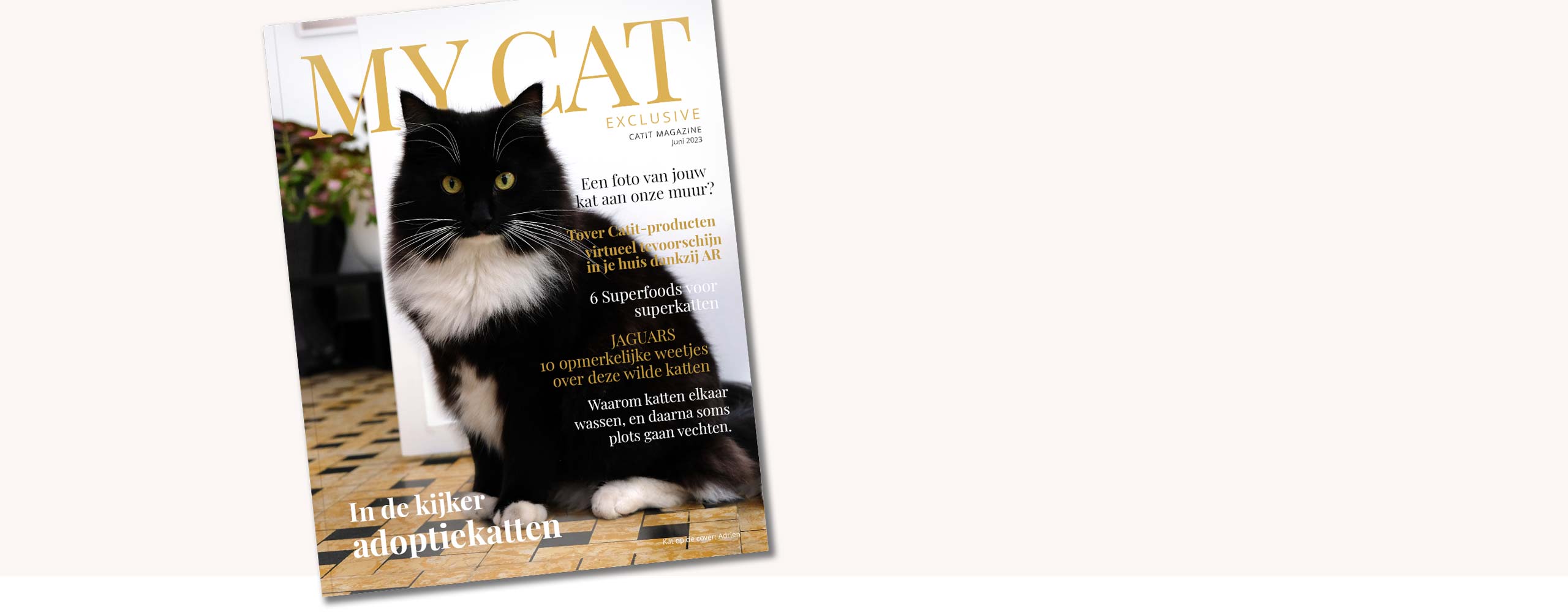 MY CAT magazine