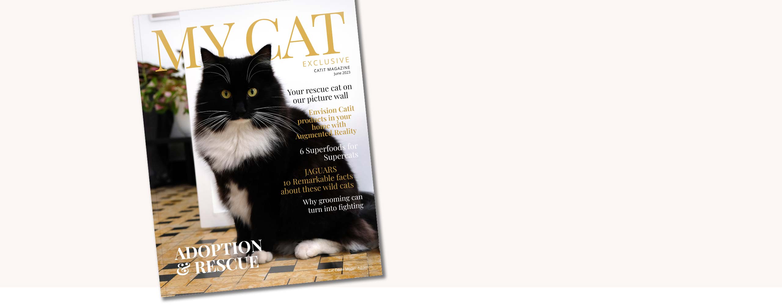 Discover our free MY CAT Exclusive!