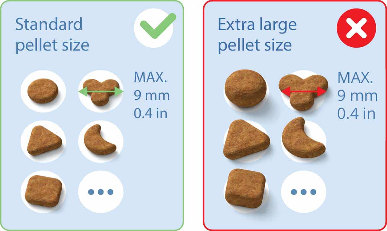 Pellet size