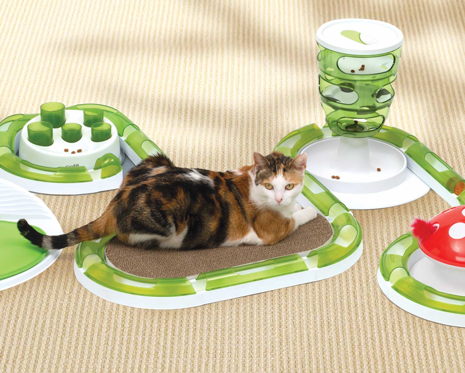 https://www.catit.com/wp-content/uploads/2023/07/Products_Toys-and-Catnip_Tablet.jpg