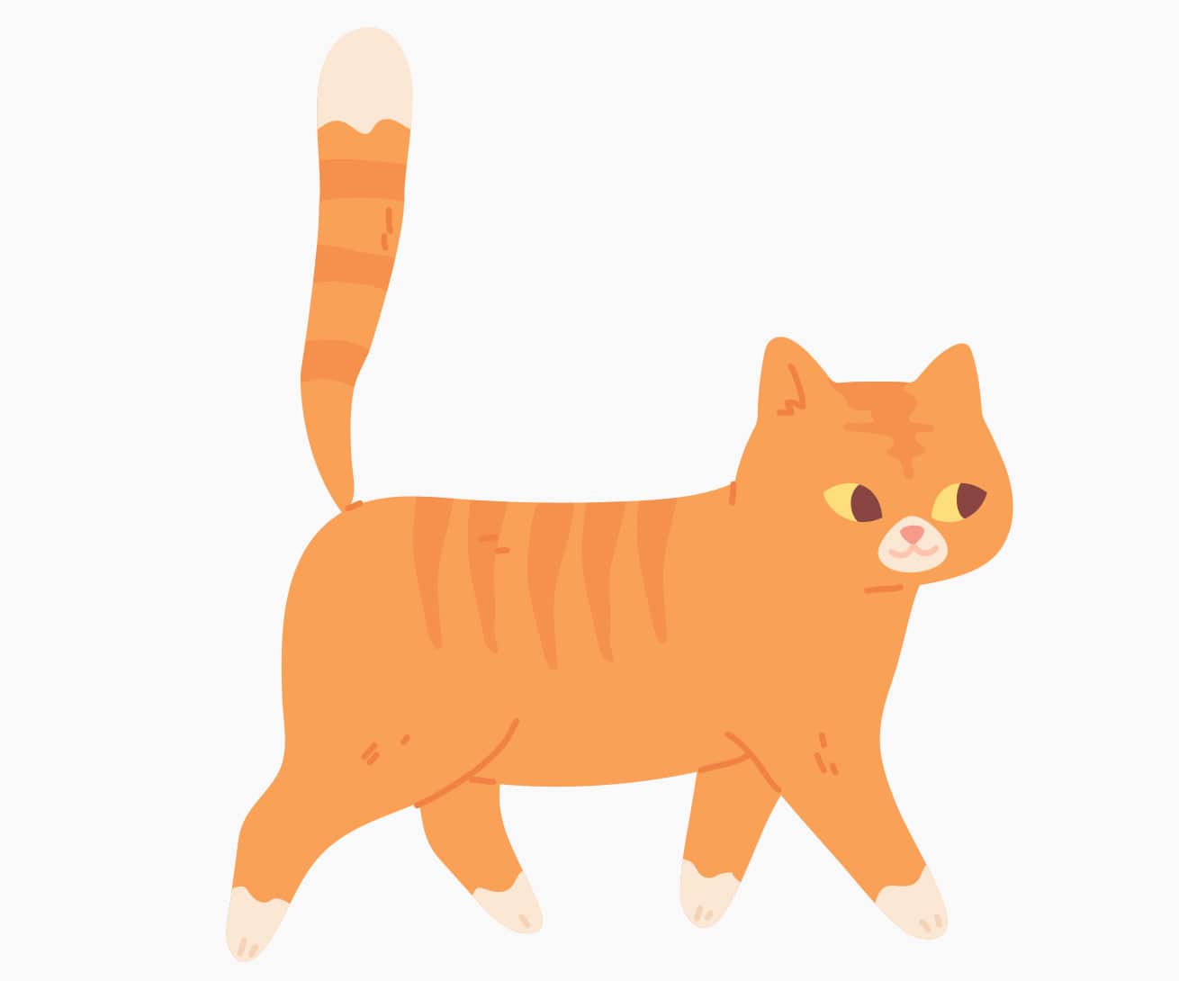 Linguaggio felino: cosa sta comunicando il gatto con la coda? - Catit