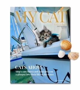 Catit Magazine cover for August 2023 featuring a kitten named Darya on a sailboat with the headline Cats Ahoy