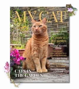 July 2023 issue of My Cat magazine featuring an orange tabby cat in a garden and articles on cat care and gardening