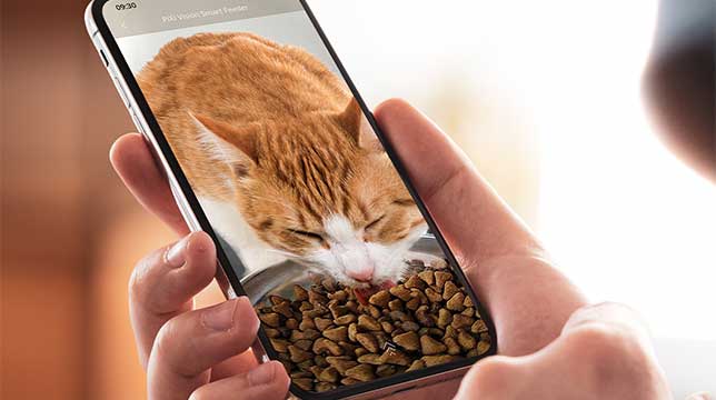 Surveillez votre chat pendant qu’il mange avec le distributeur intelligent Catit PIXI Vision