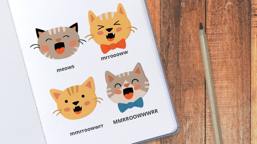 Kattentaal: dit betekenen de stemgeluiden van je kat