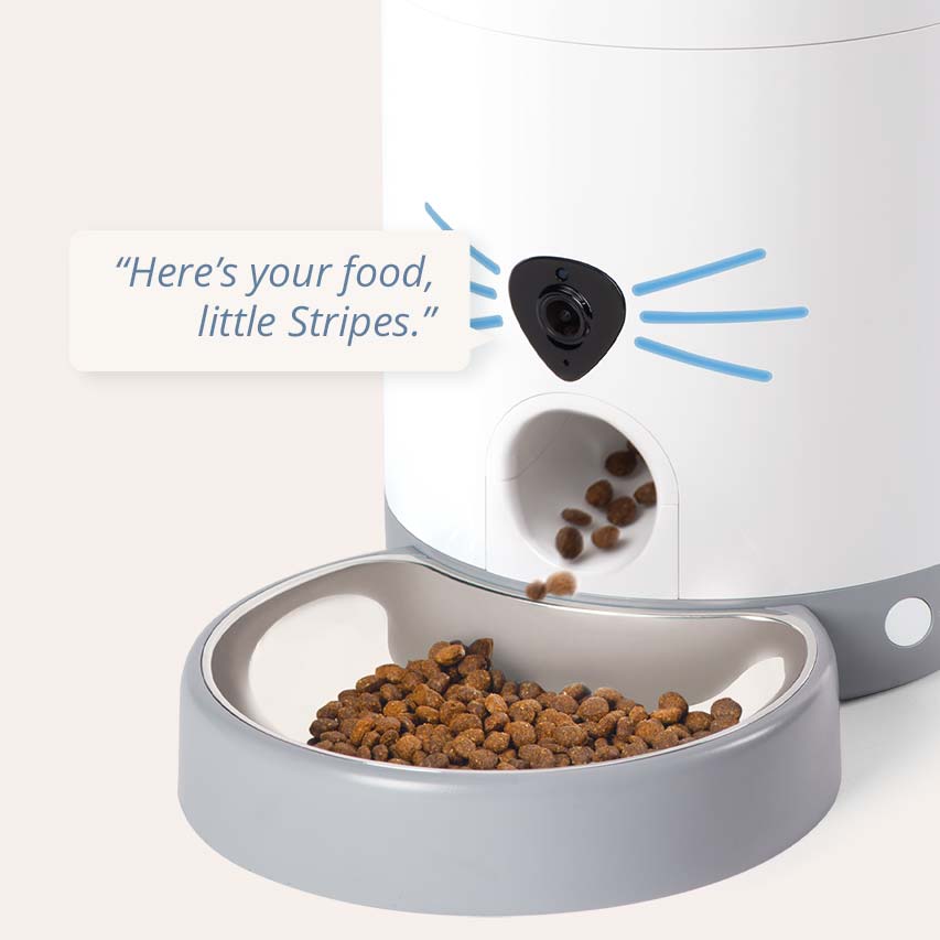 Catit PIXI Smart Feeder dispensing dry food into a stainless steel bowl with a voice message bubble