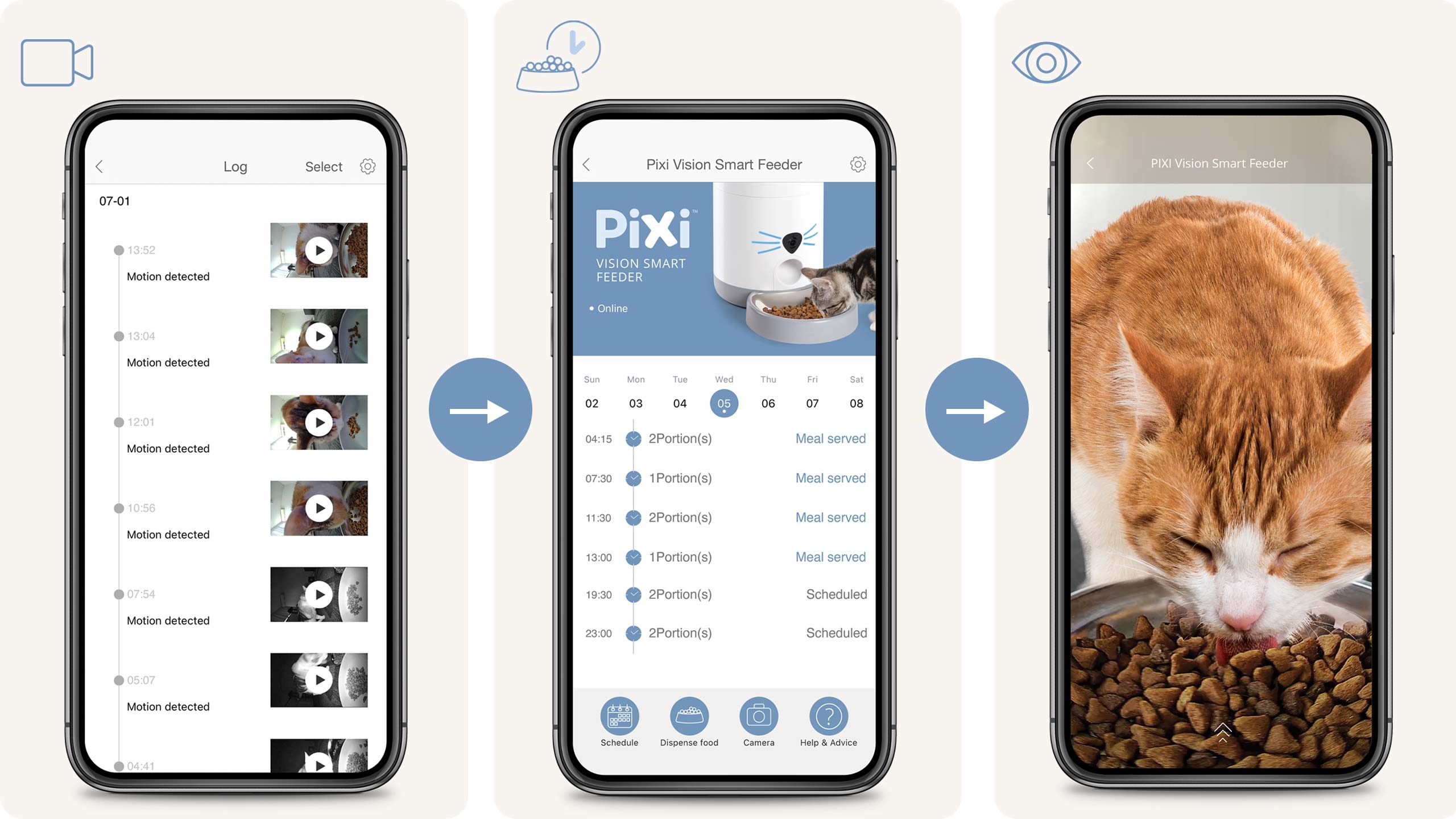 Watch highlights of your cat's behavior in the app