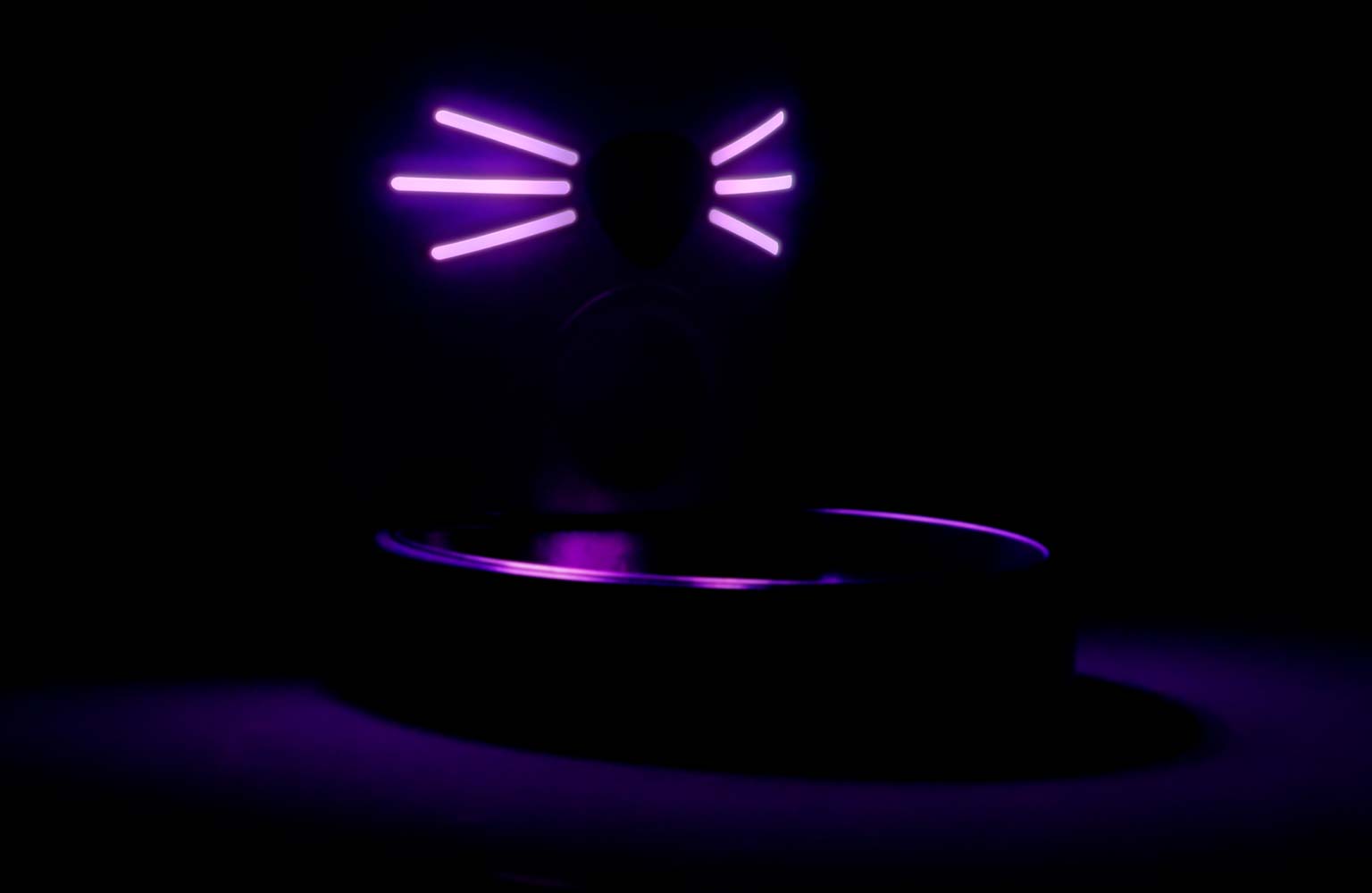 The Catit PIXI Vision Smart Feeder acts as a nightlight for your cat