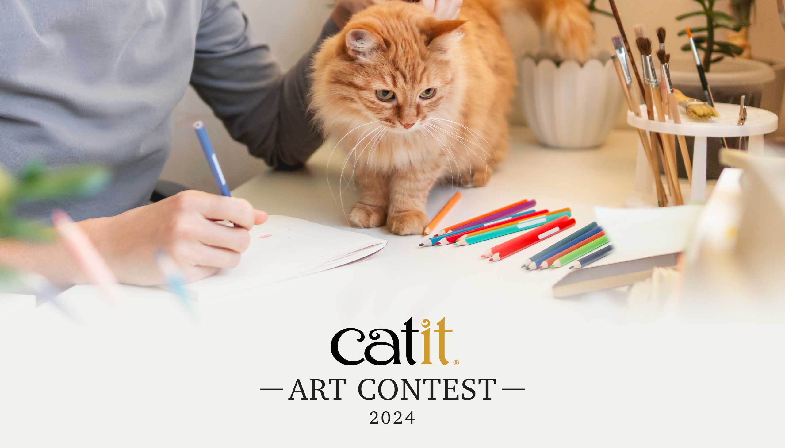 Catit Art Contest 2024