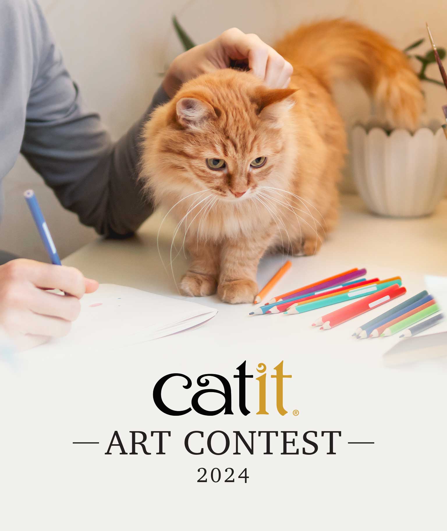 Concours d'Art Catit 2024