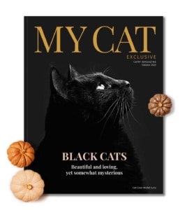 My Cat magazine cover for October 2023 featuring a black cat and the headline Black Cats: Beautiful and loving