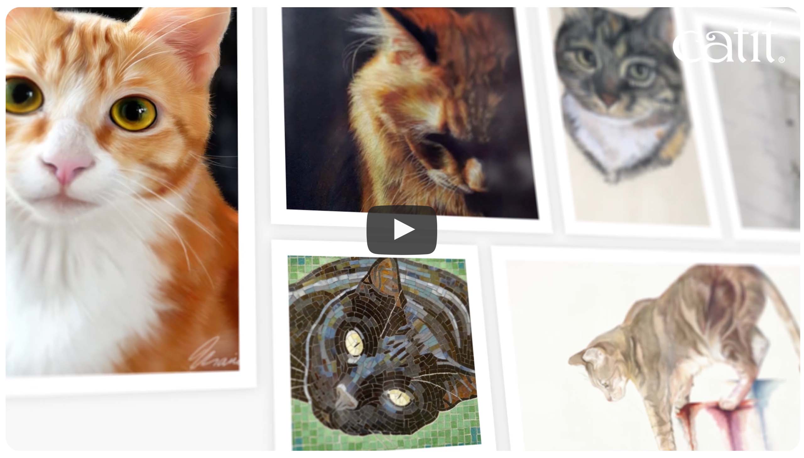 Collage of various artistic portraits of cats with a play button in the center