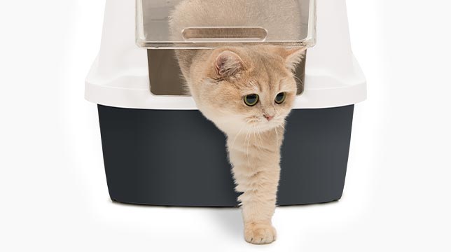 A light-colored cat stepping out of a covered litter box with a clear swinging door