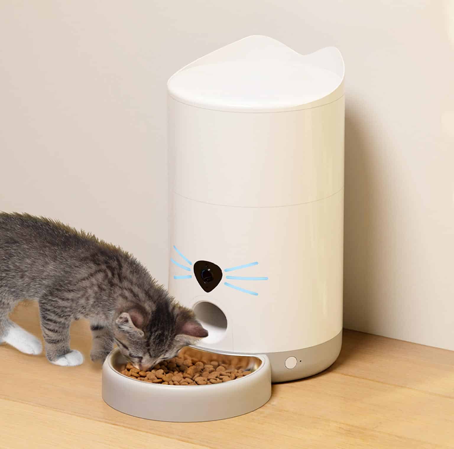 Cat eating from the Catit PIXI Vision Feeder