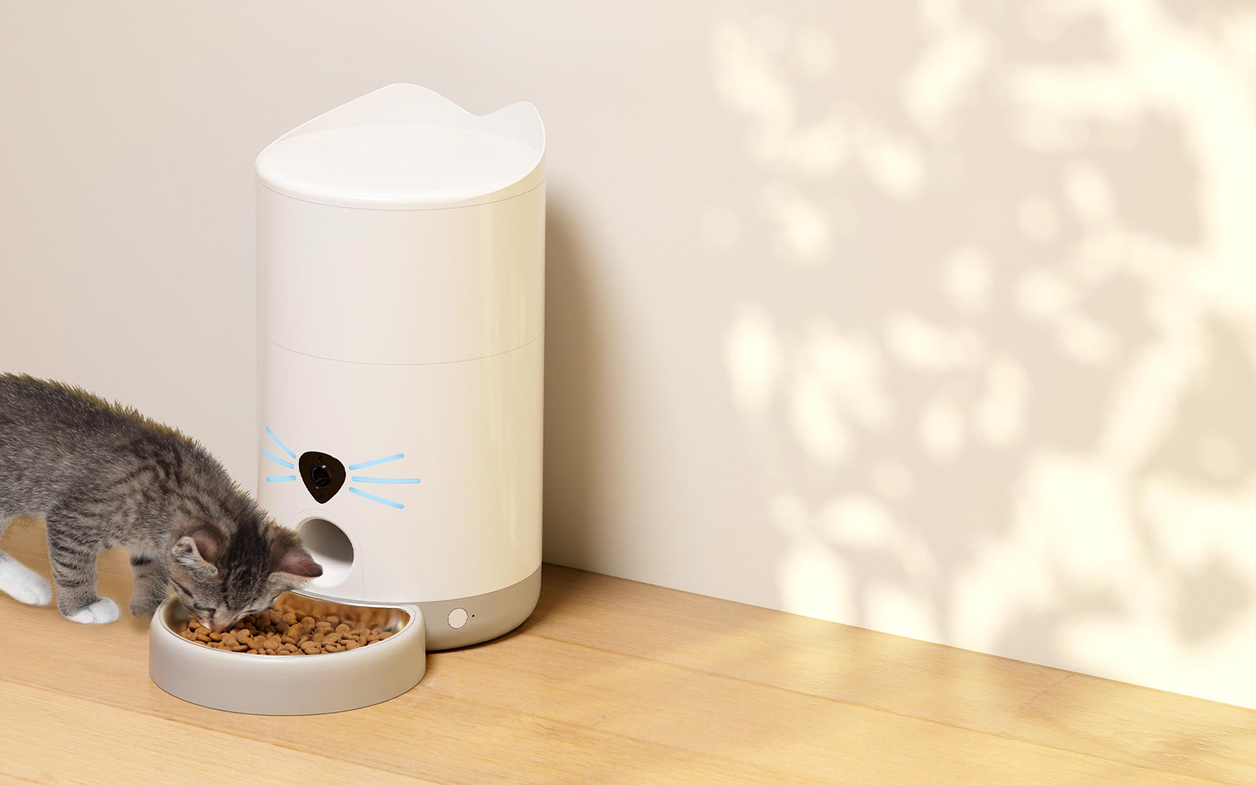 A small tabby kitten eating from a white Catit PIXI Vision Smart Feeder on a wooden floor