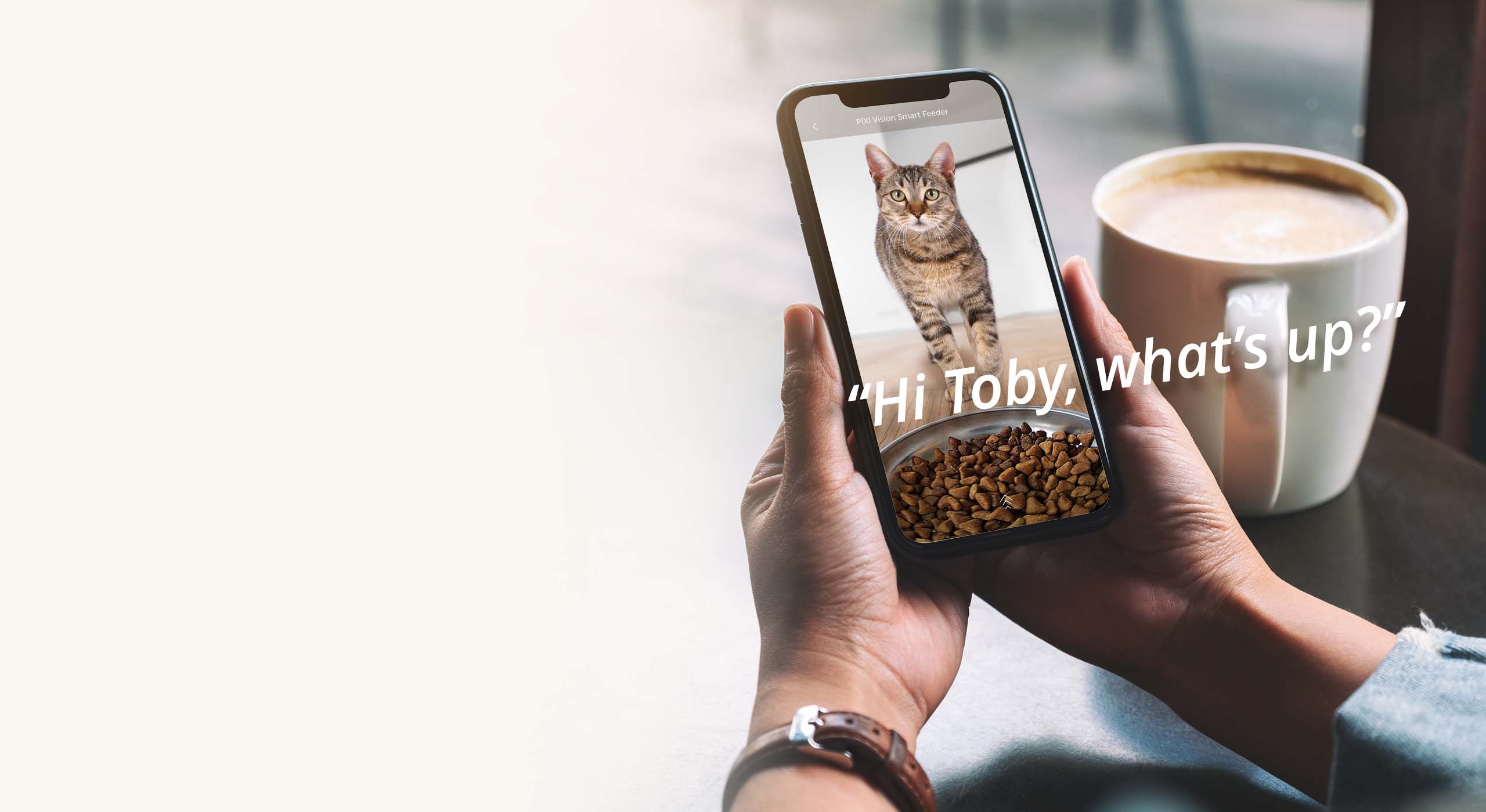 A person holds a smartphone displaying a live video feed of a cat eating from a PIXI Vision Smart Feeder