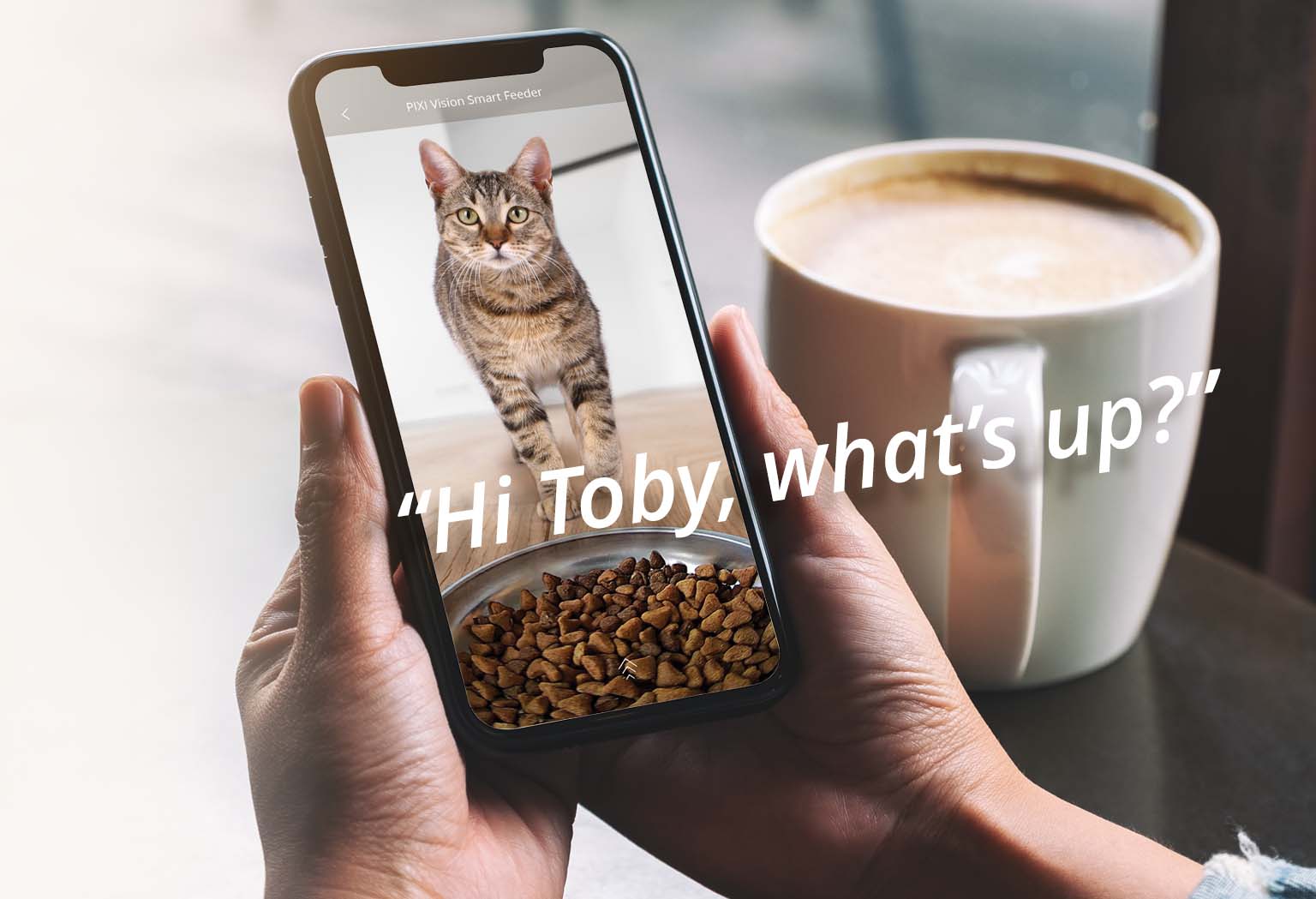 A person holds a smartphone displaying a live video feed of a cat eating from a PIXI Vision Smart Feeder